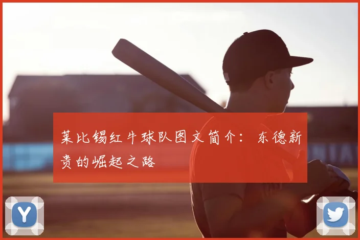 莱比锡红牛球队图文简介：东德新贵的崛起之路