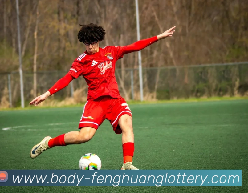 凤凰彩票官方网站平台生态图